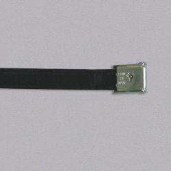 Biothane Strap with Key Lock Buckle