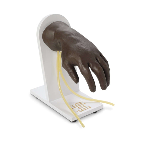 Life/form IV Training Hand Mannequin